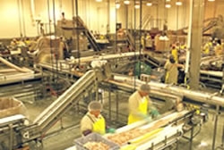 Foster Farms Deboning Facility